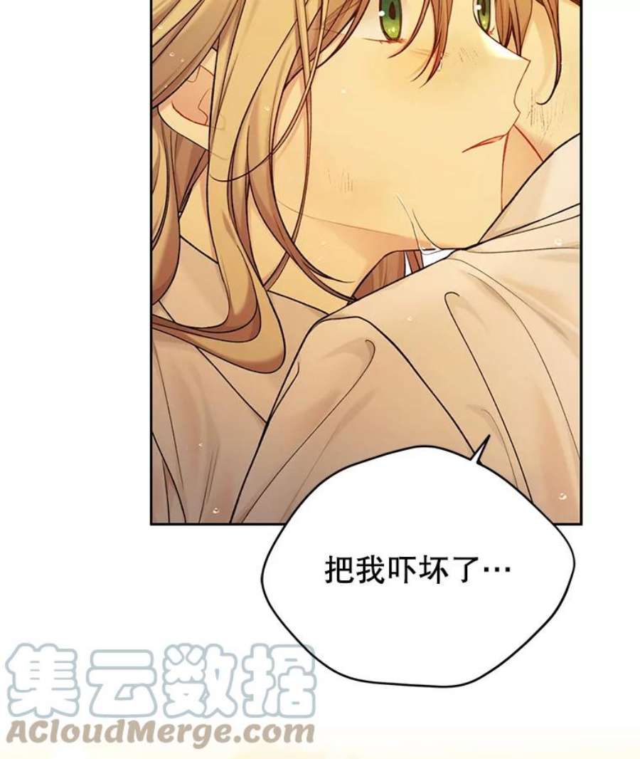 绿荫之冠73.我们的关系