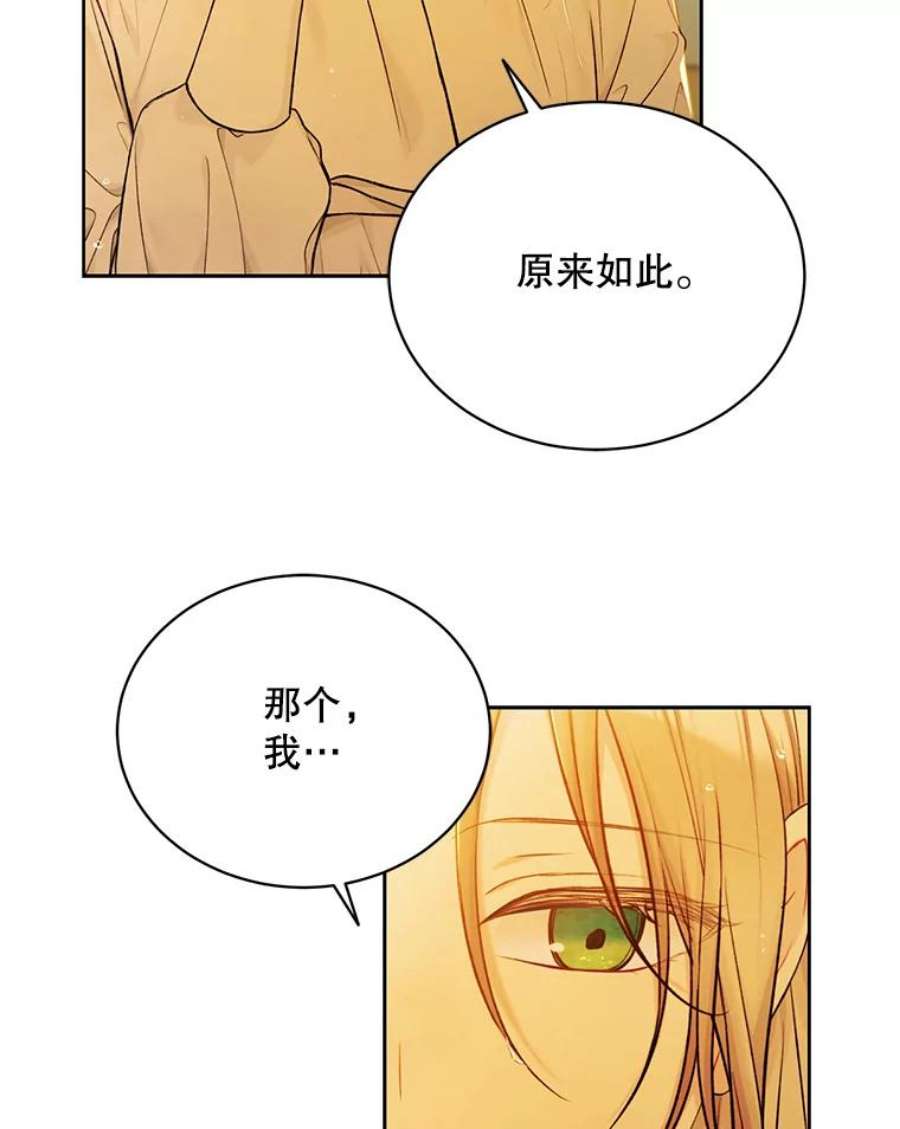 绿荫之冠73.我们的关系