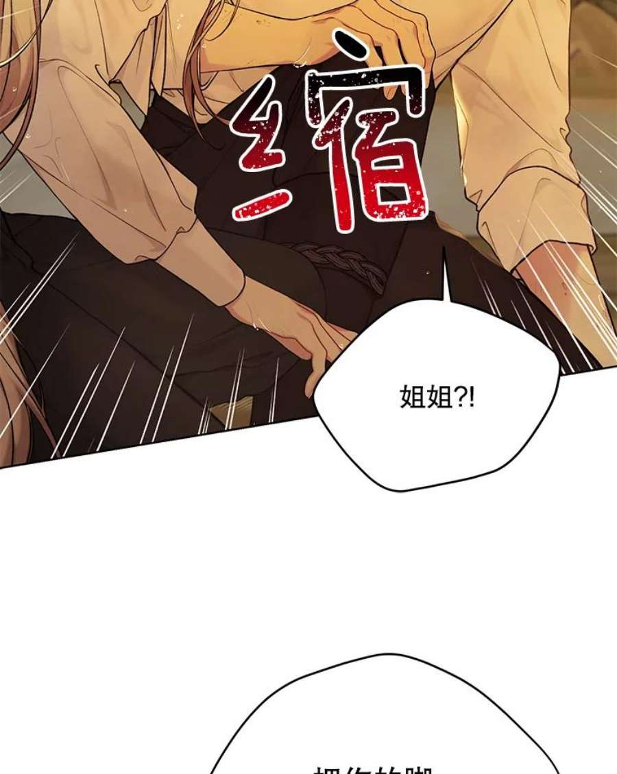 绿荫之冠73.我们的关系