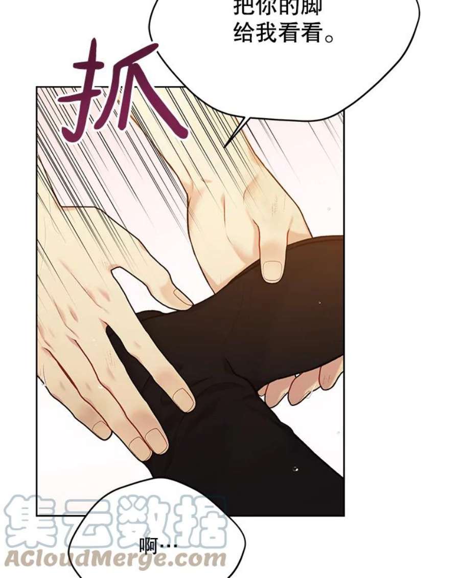 绿荫之冠73.我们的关系