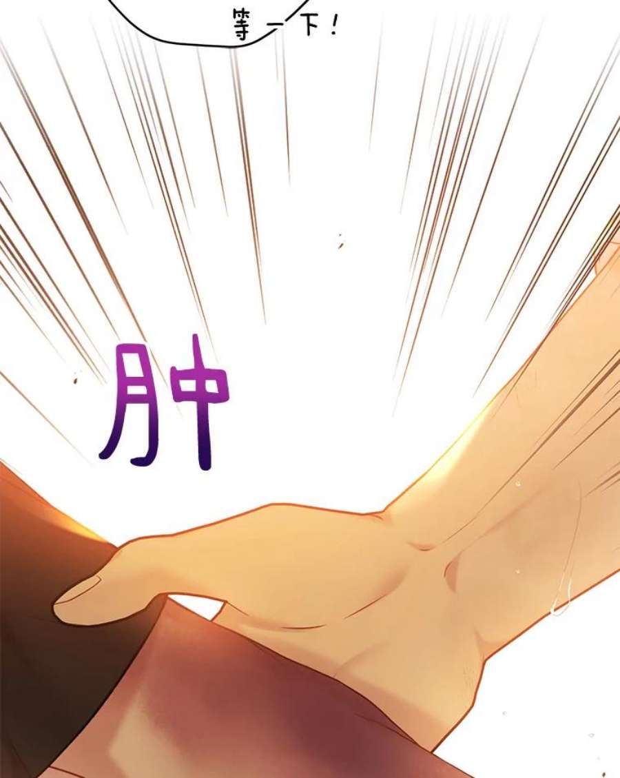 绿荫之冠73.我们的关系