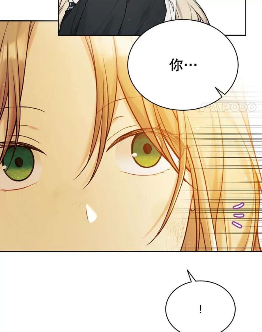 绿荫之冠73.我们的关系