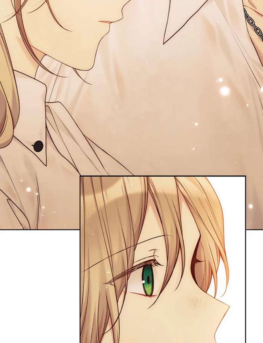 绿荫之冠73.我们的关系