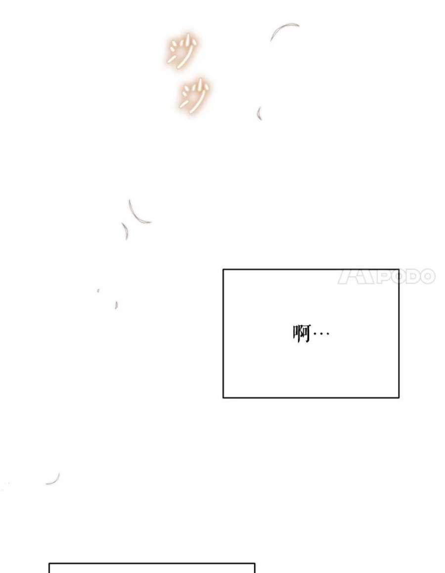 绿荫之冠73.我们的关系