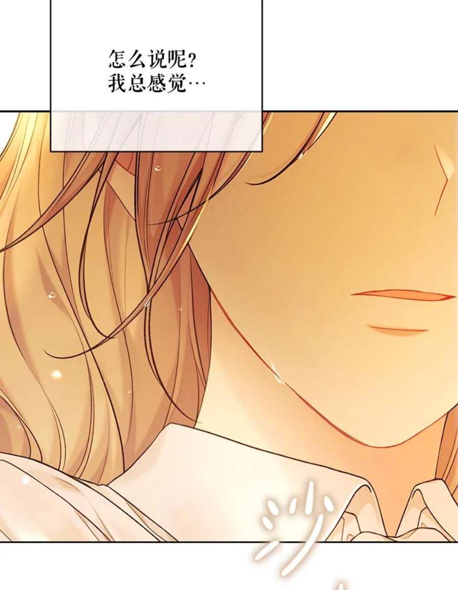 绿荫之冠73.我们的关系