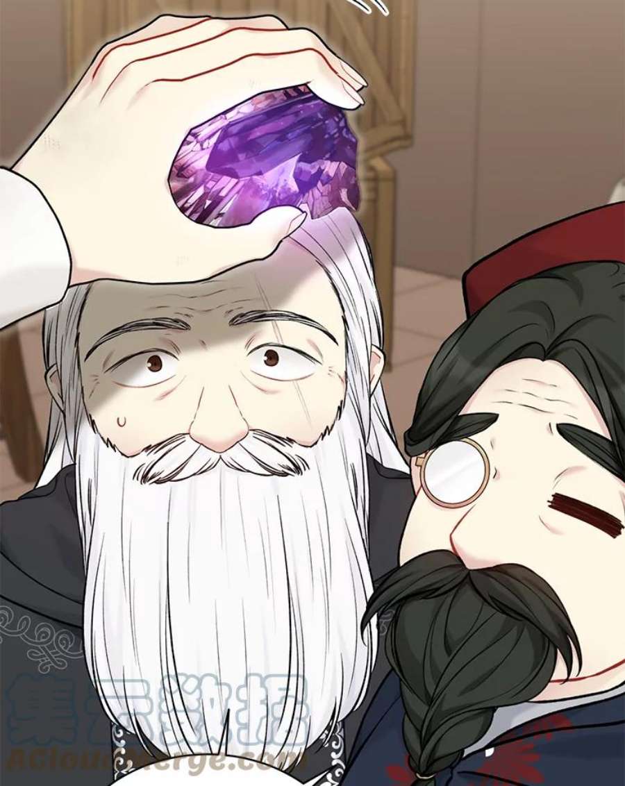 绿荫之冠74.治疗