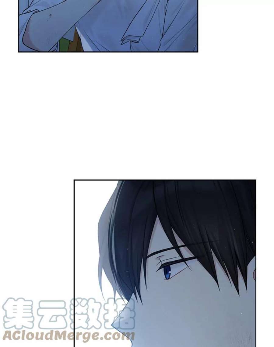 绿荫之冠74.治疗