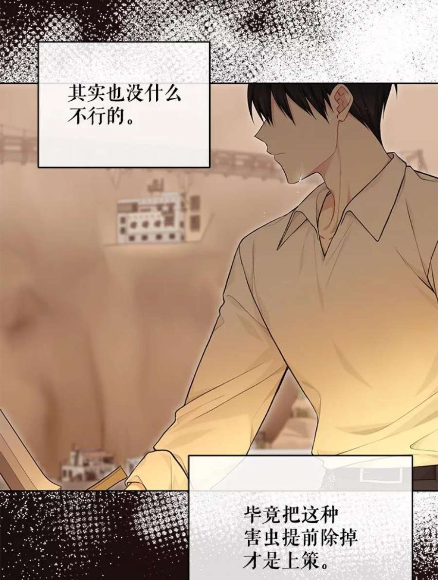 绿荫之冠75.视线之内