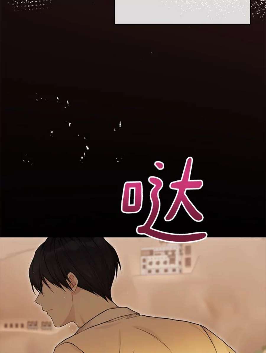 绿荫之冠75.视线之内