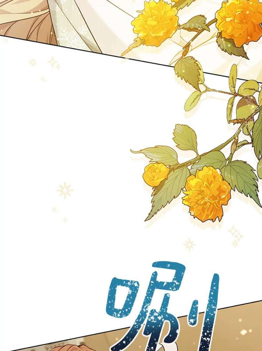 绿荫之冠75.视线之内