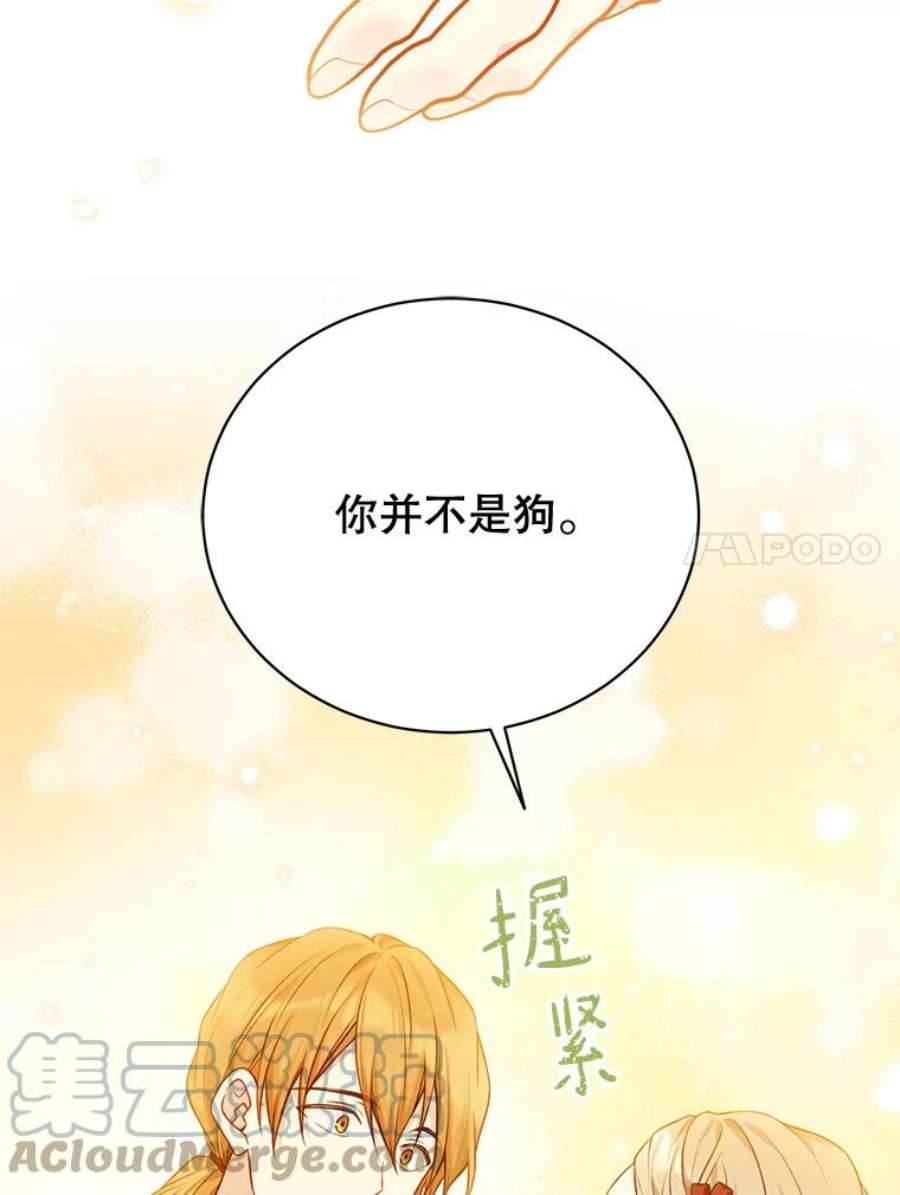 绿荫之冠75.视线之内