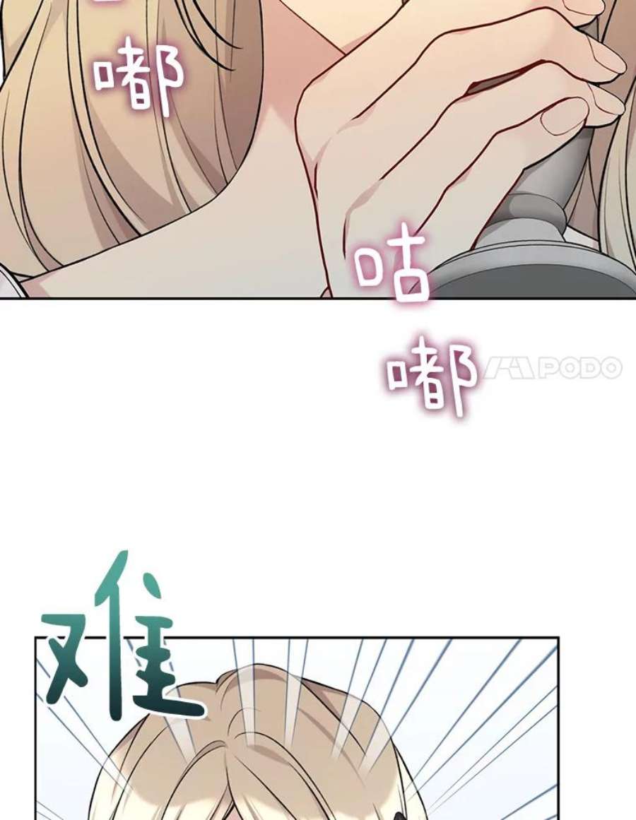 绿荫之冠76.观光