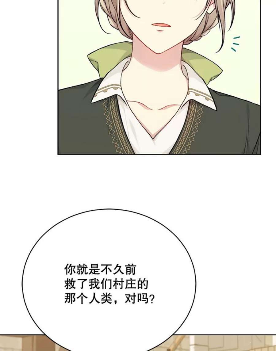 绿荫之冠76.观光