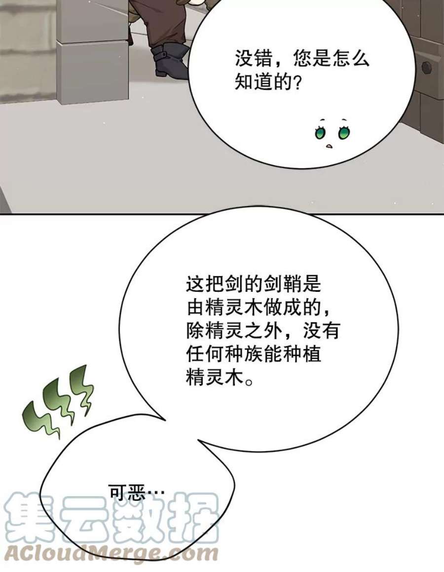 绿荫之冠76.观光