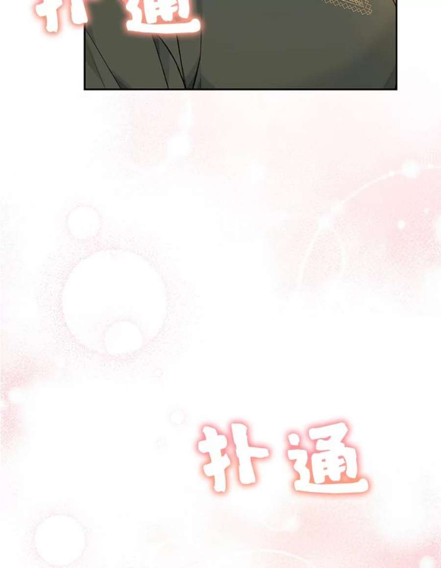 绿荫之冠76.观光
