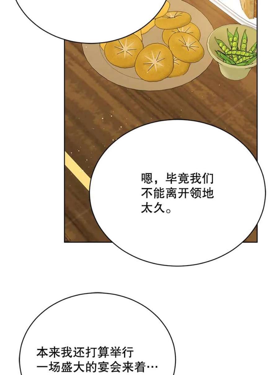 绿荫之冠76.观光