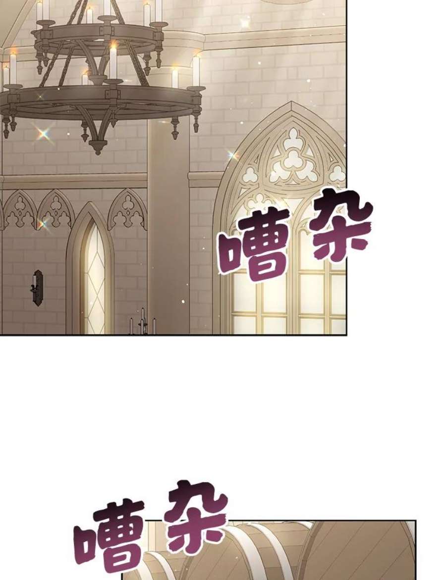 绿荫之冠76.观光