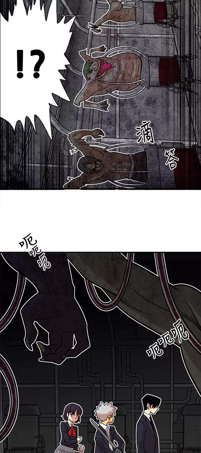 巨魔猎手38话