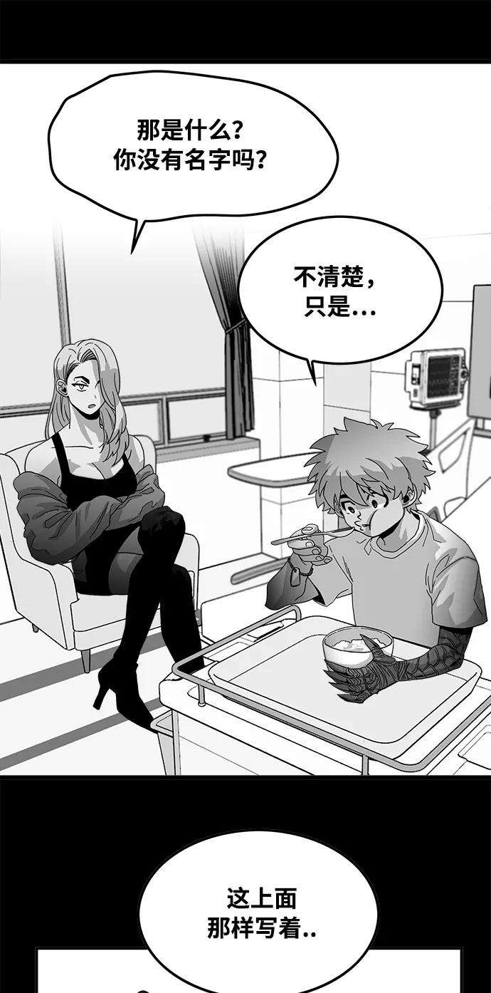 巨魔猎手74话