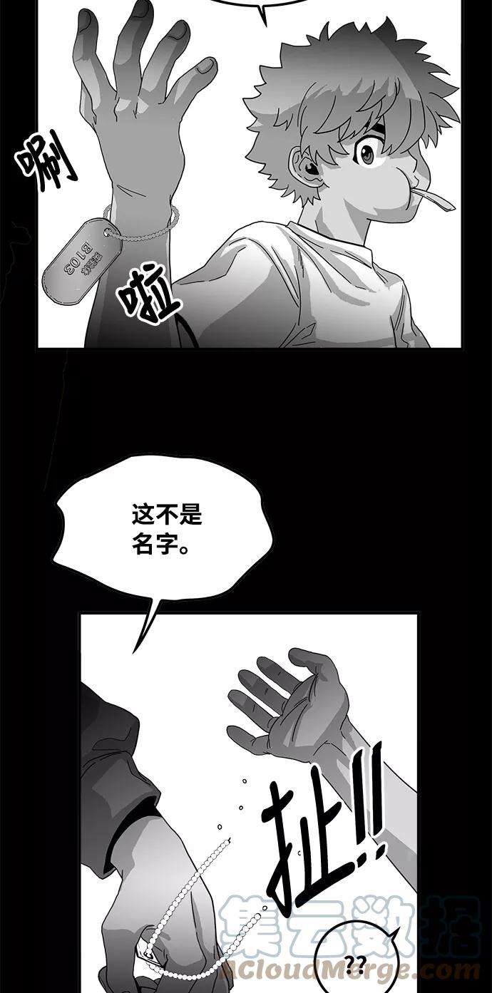 巨魔猎手74话