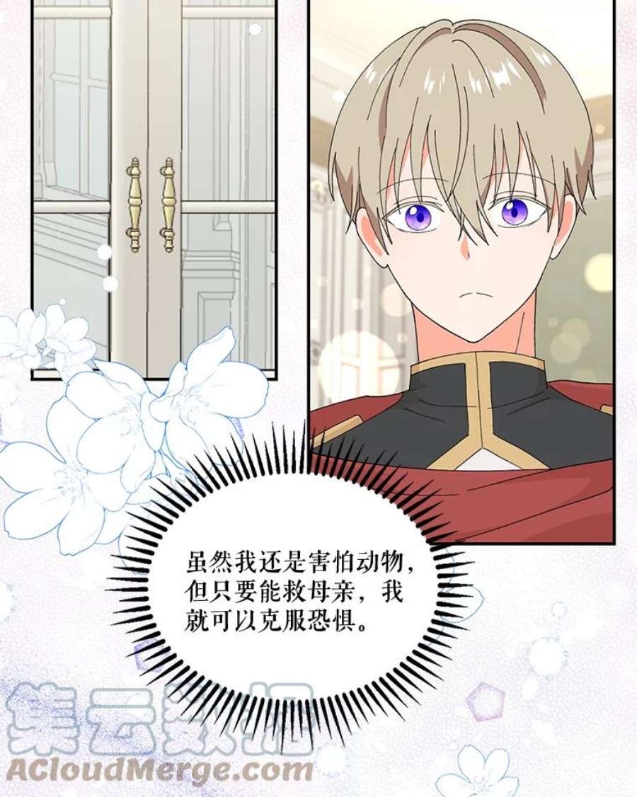 宝贝皇后殿下17.下定决心
