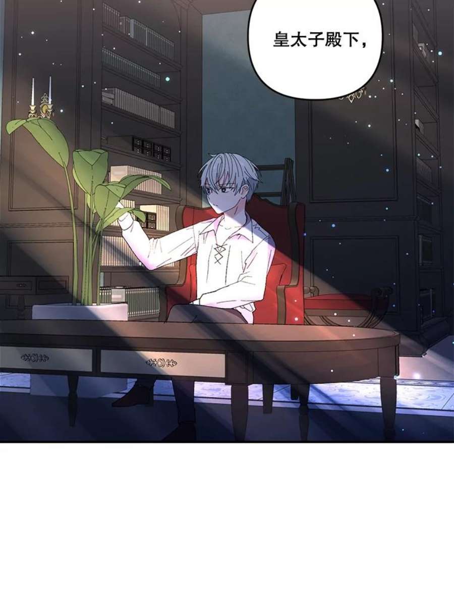 宝贝皇后殿下18.美好的梦境