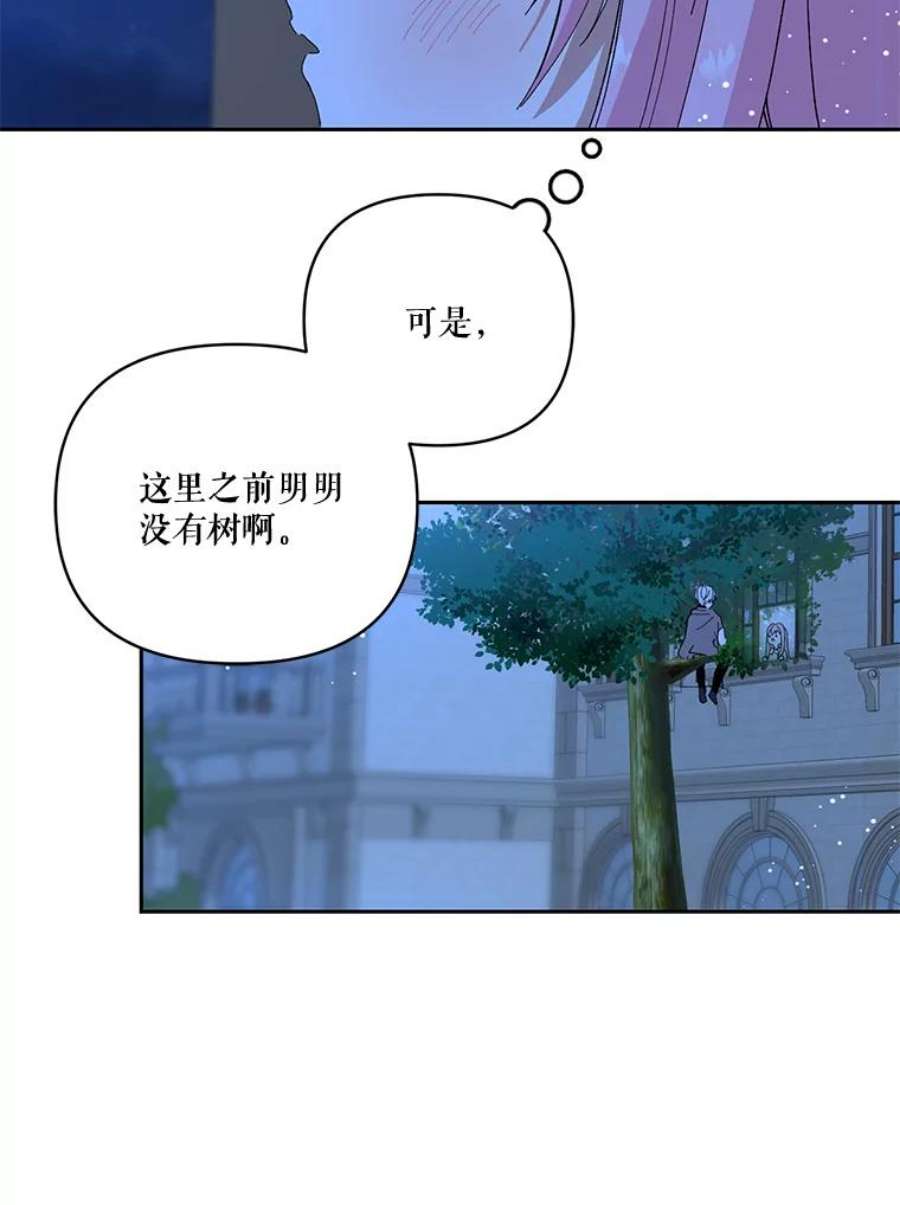 宝贝皇后殿下22.生长魔法符