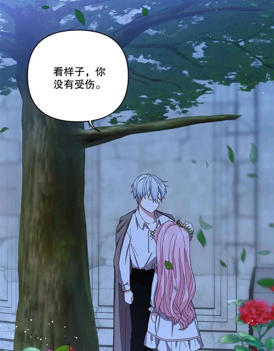 宝贝皇后殿下22.生长魔法符