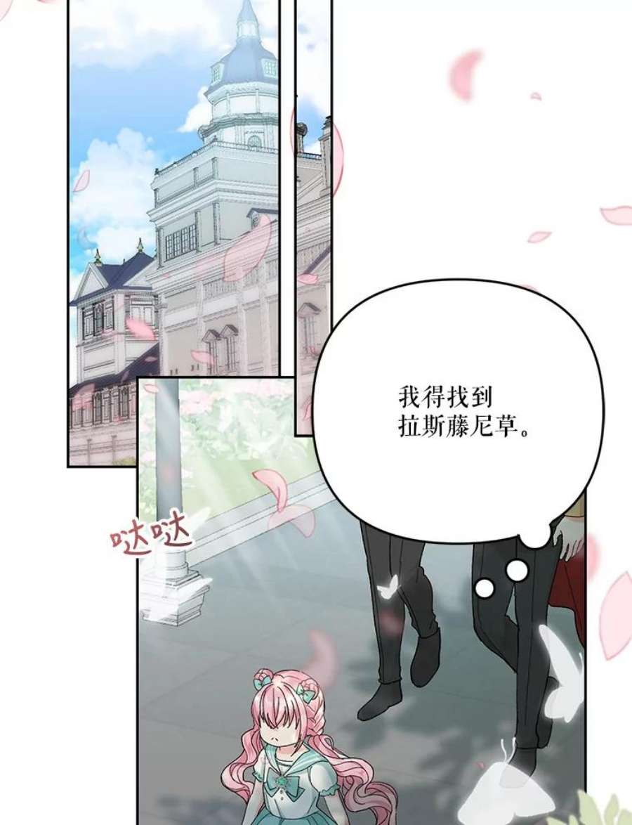 宝贝皇后殿下31.召唤精灵