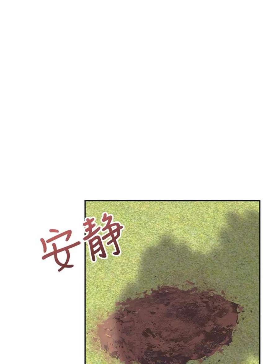 宝贝皇后殿下31.召唤精灵