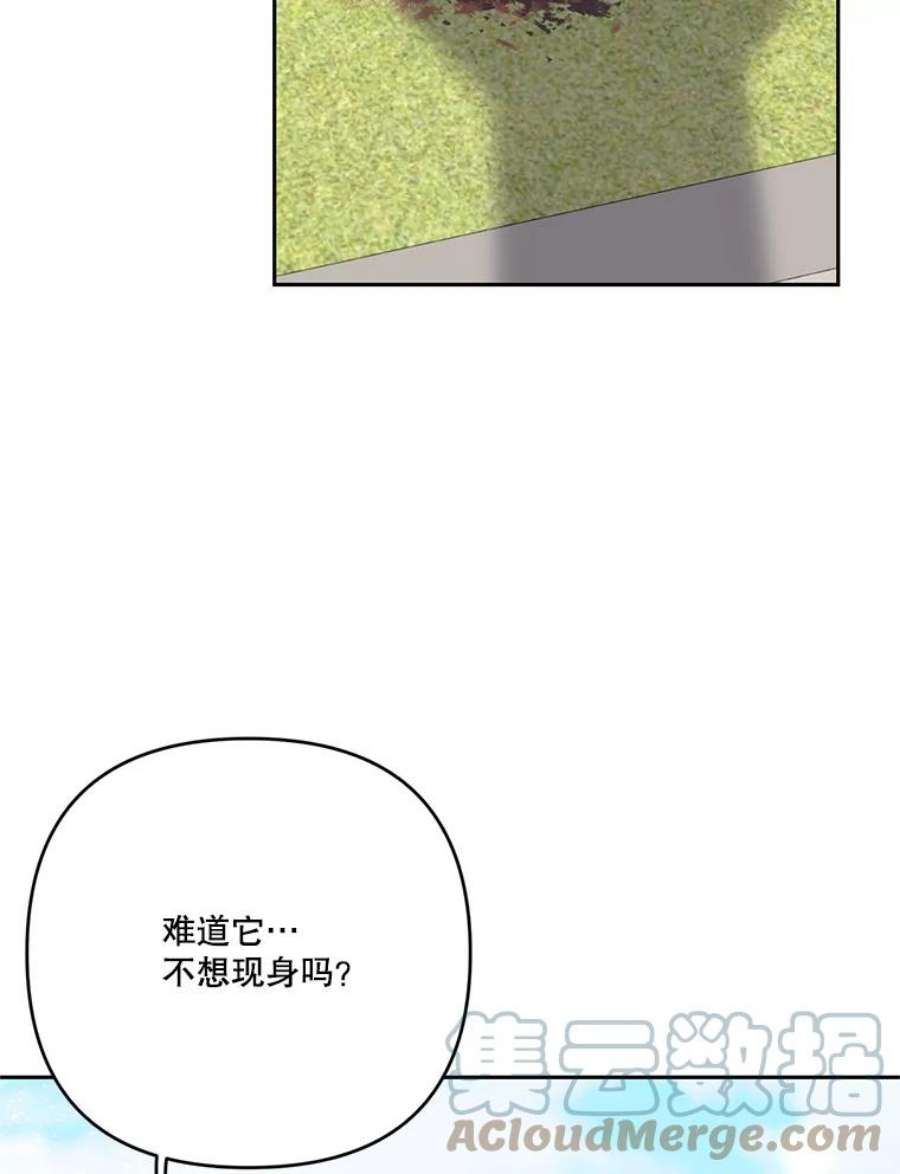 宝贝皇后殿下31.召唤精灵