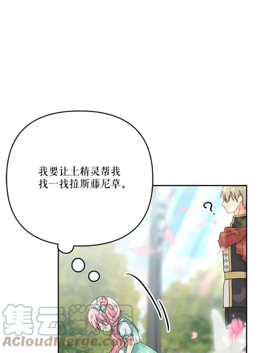 宝贝皇后殿下31.召唤精灵