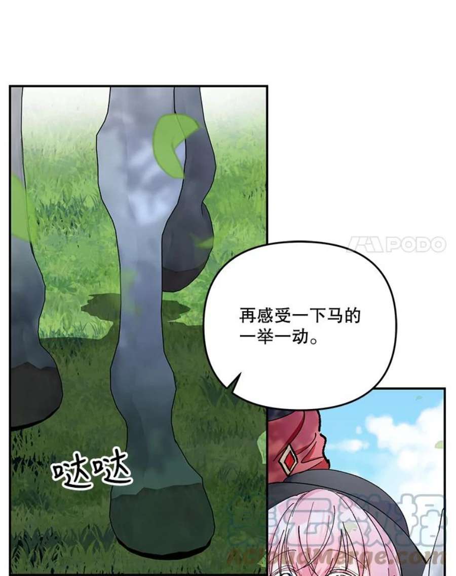 宝贝皇后殿下43.重学骑马
