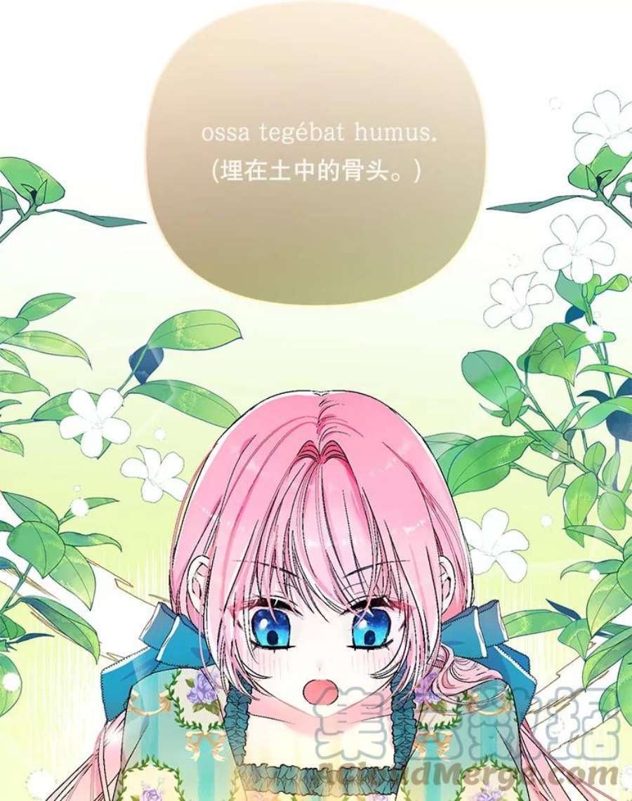 宝贝皇后殿下54.风精灵