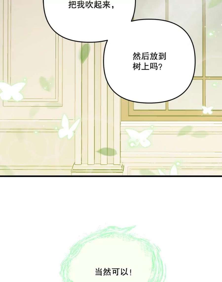 宝贝皇后殿下54.风精灵