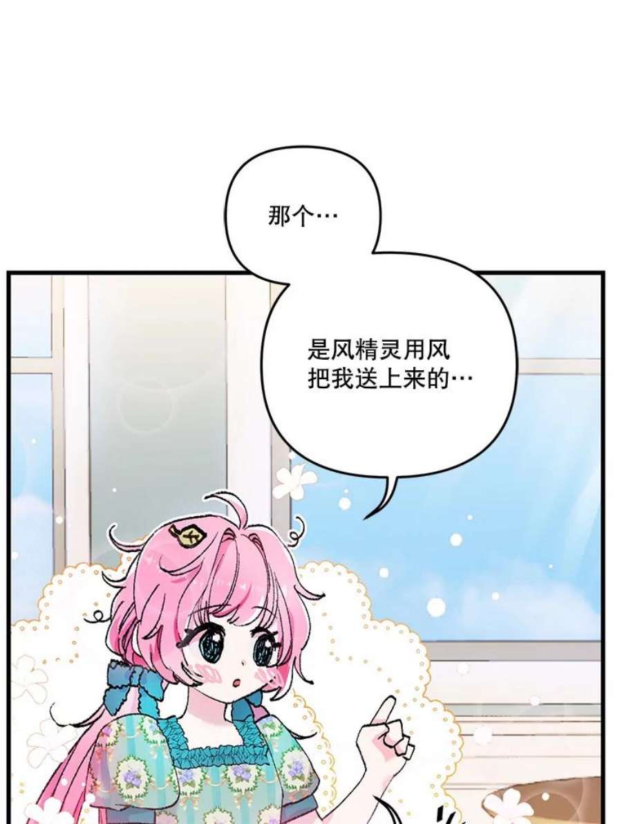 宝贝皇后殿下54.风精灵
