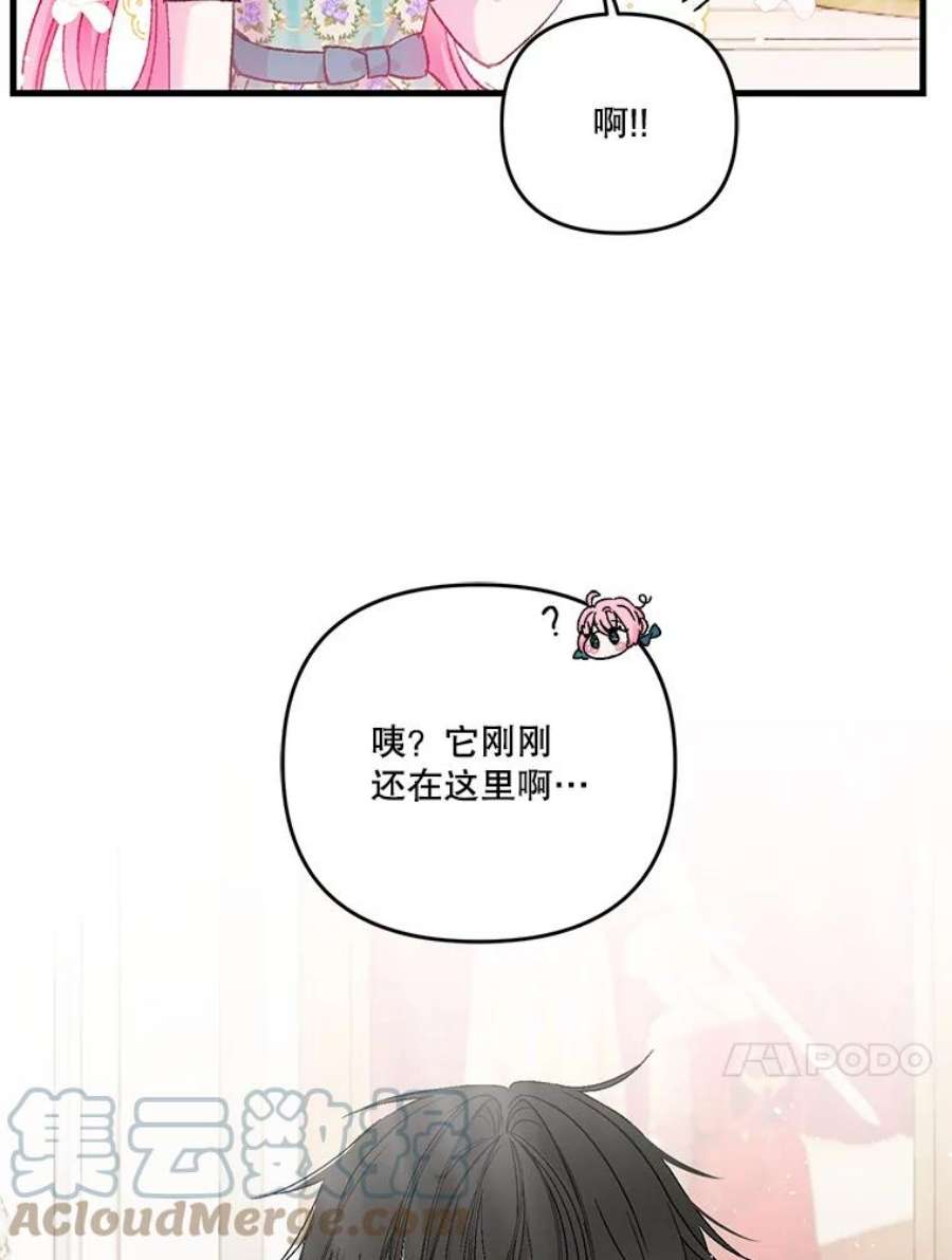宝贝皇后殿下54.风精灵