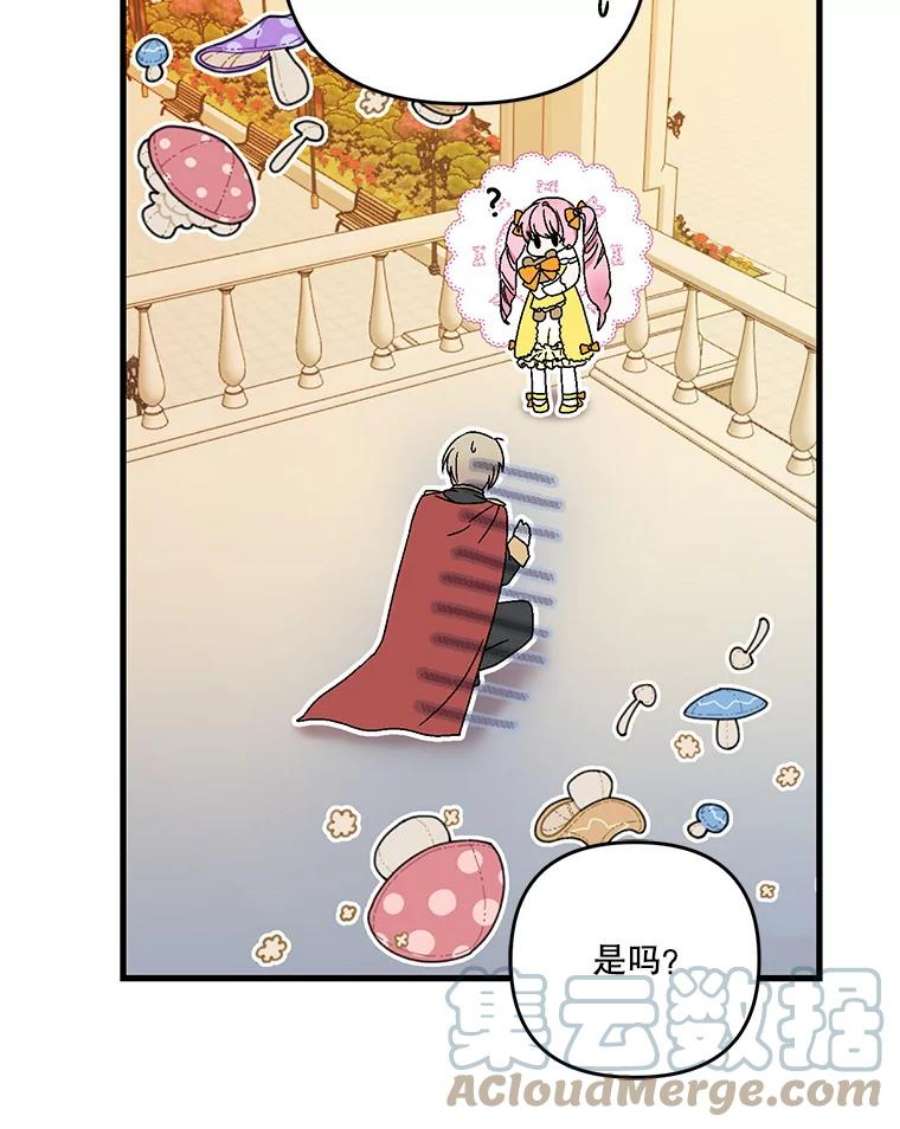 宝贝皇后殿下57.与米卡尔的谈话