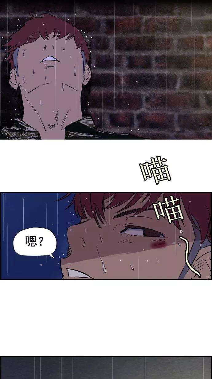 冲锋衣18话