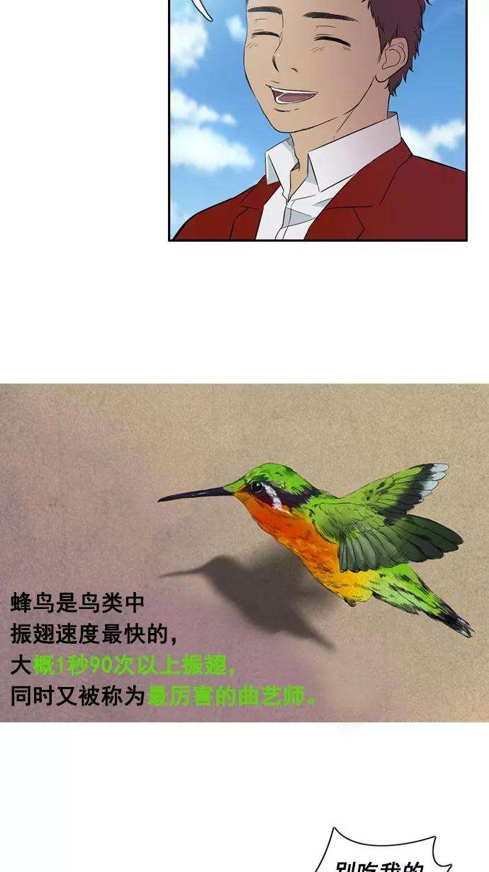 冲锋衣28话