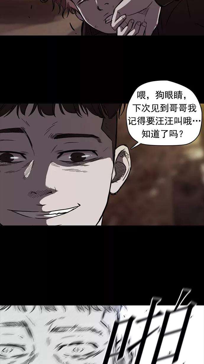 冲锋衣51话