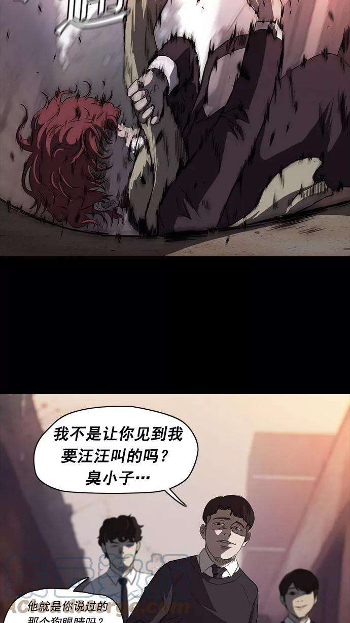 冲锋衣52话
