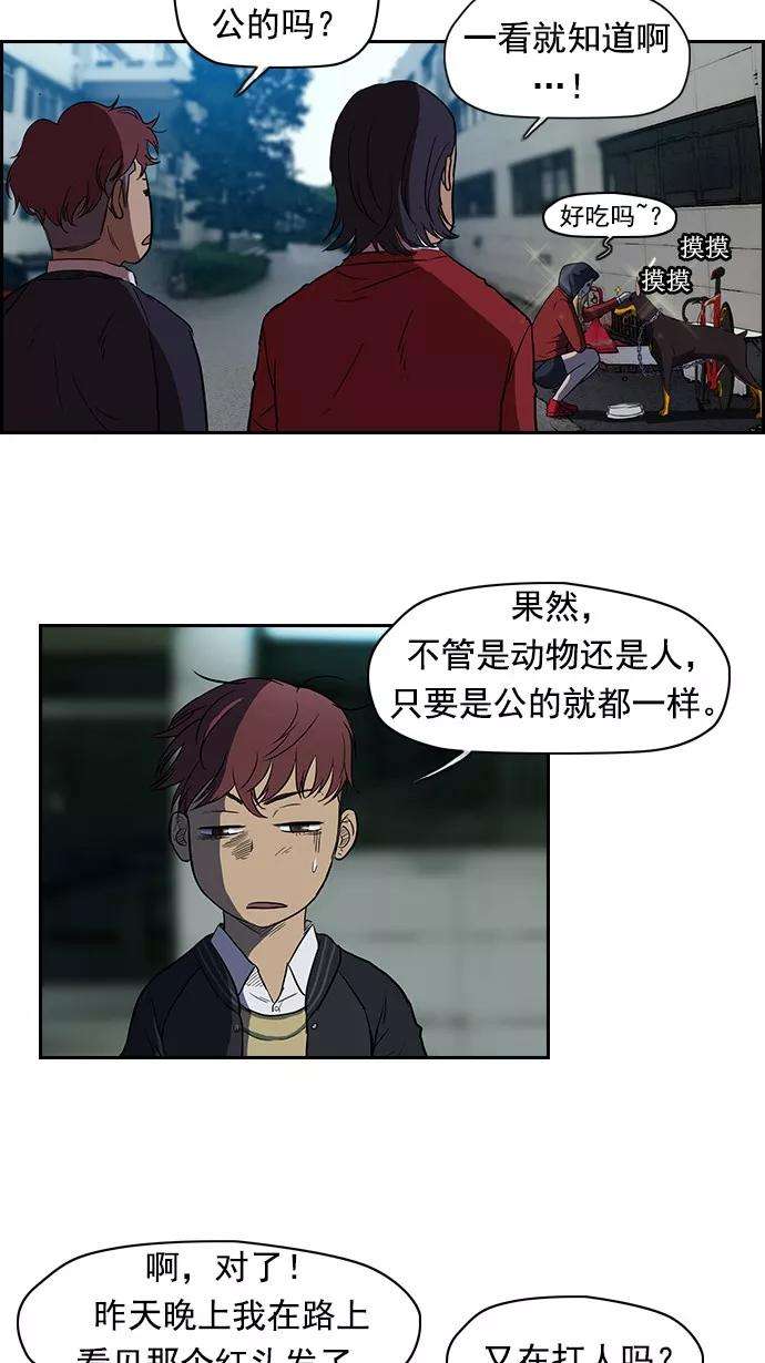 冲锋衣61话