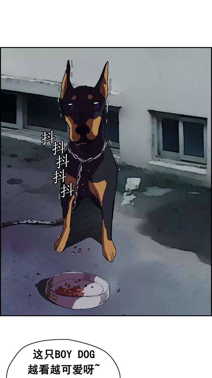 冲锋衣61话