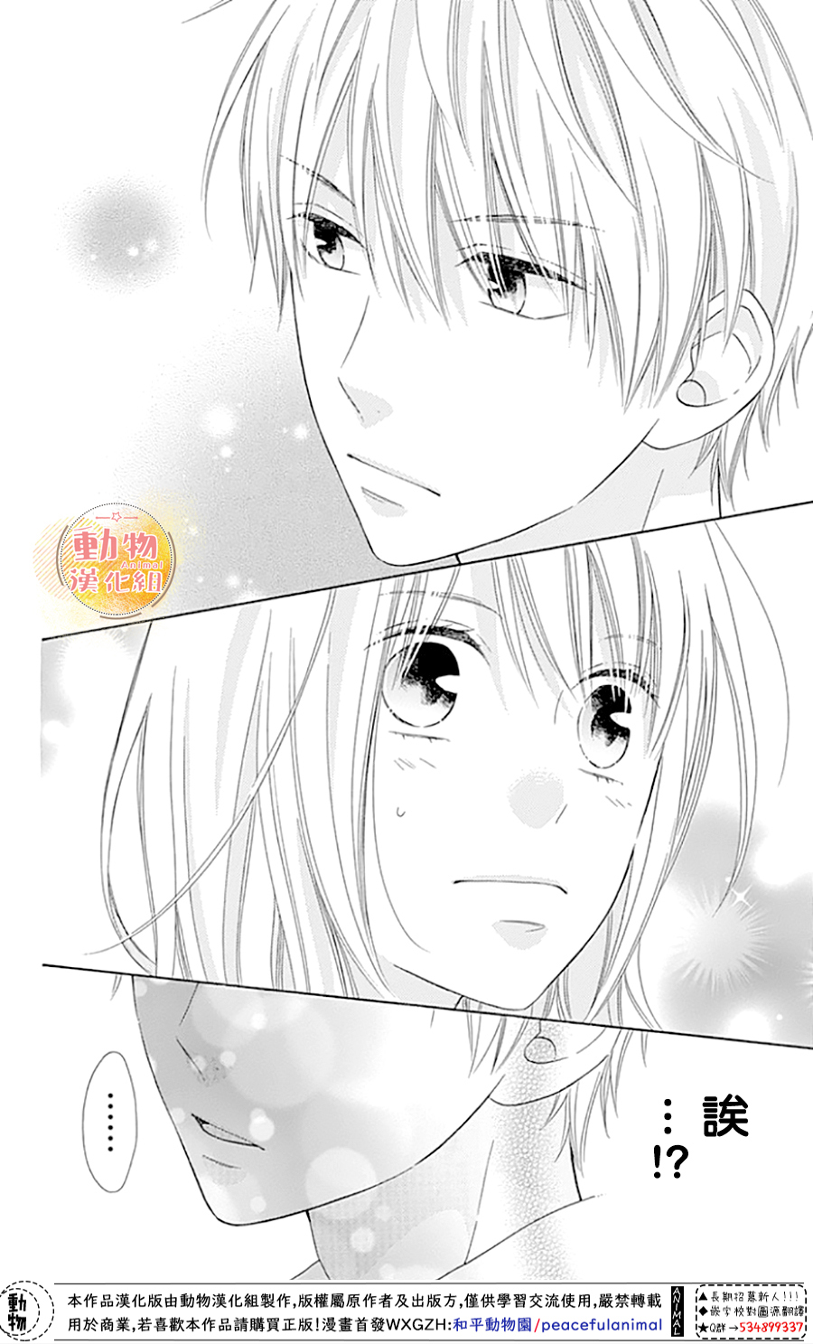 雏鸟的华尔兹第41话