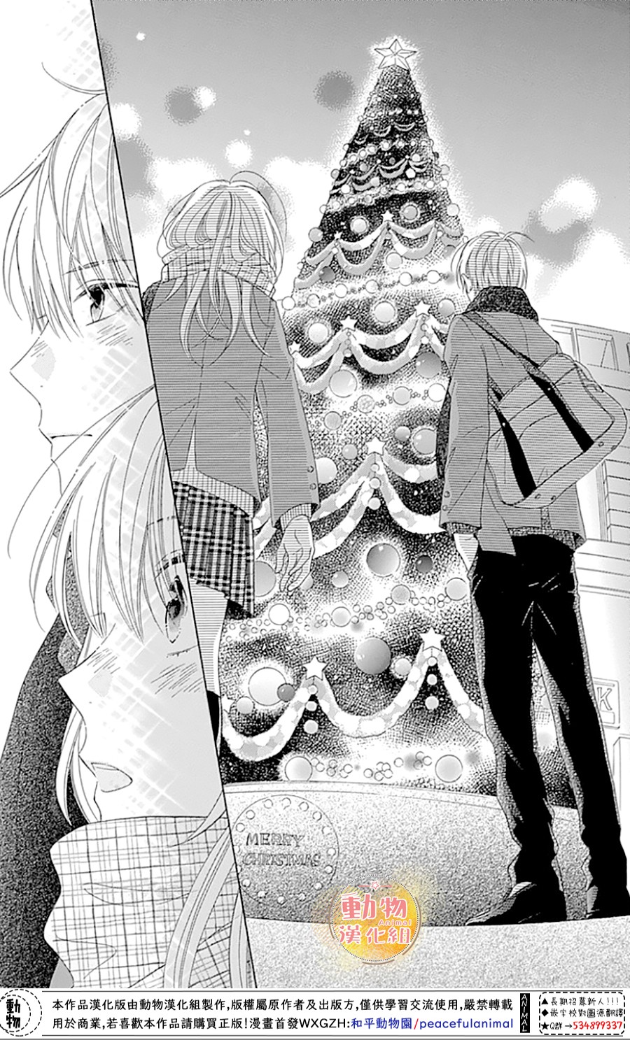 雏鸟的华尔兹第43话