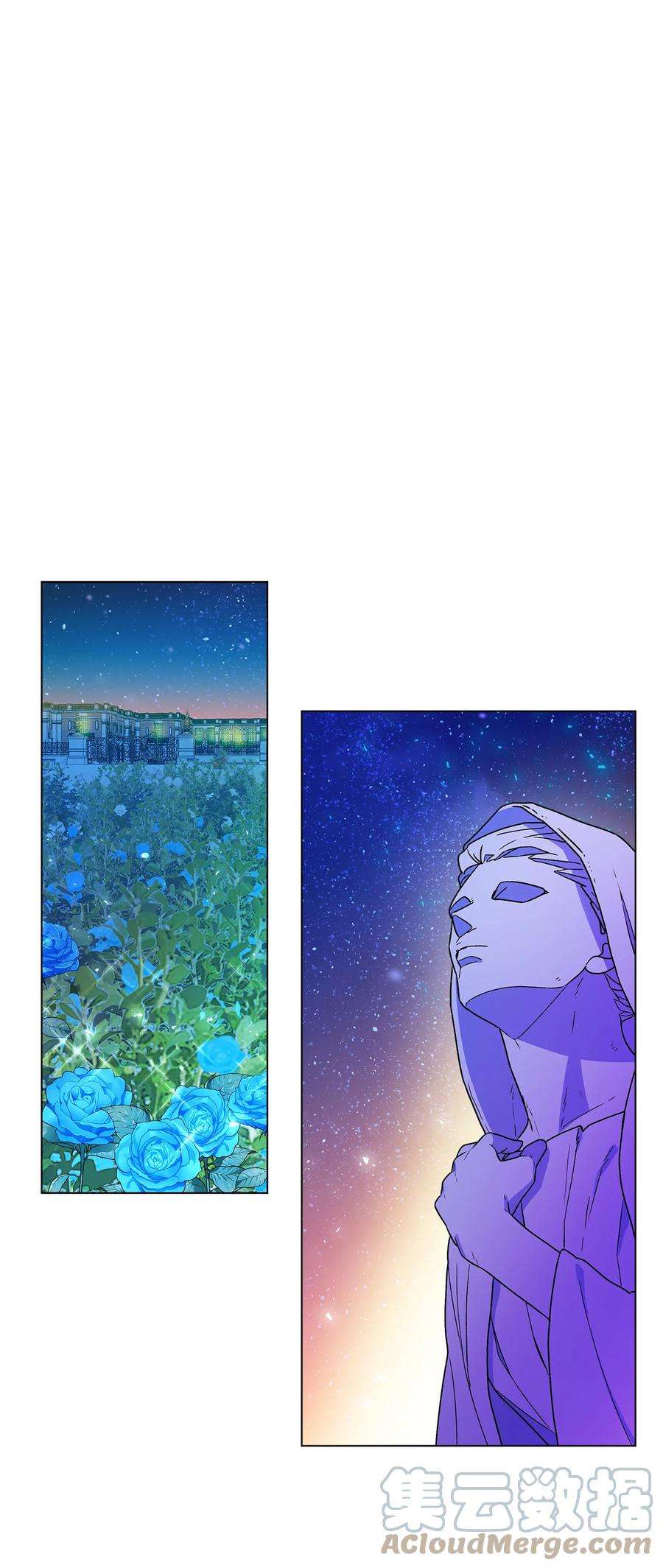 伊莲娜·埃沃的观察日志14 喜欢她的理由