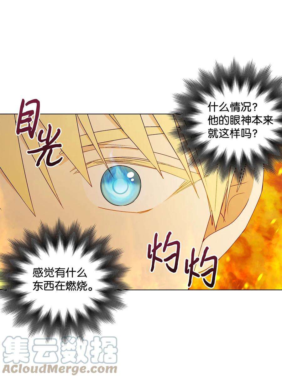 伊莲娜·埃沃的观察日志18 私人教学
