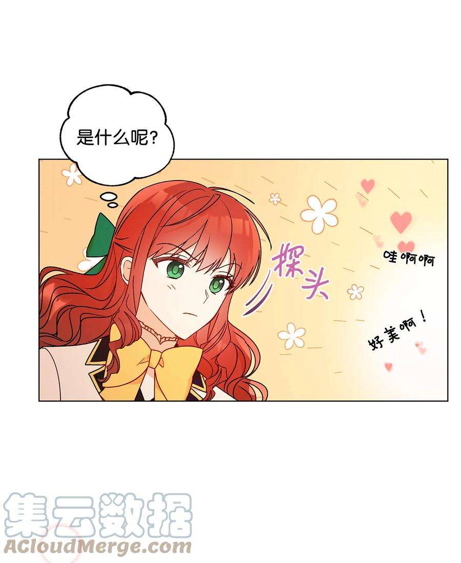 伊莲娜·埃沃的观察日志21 真正的高手