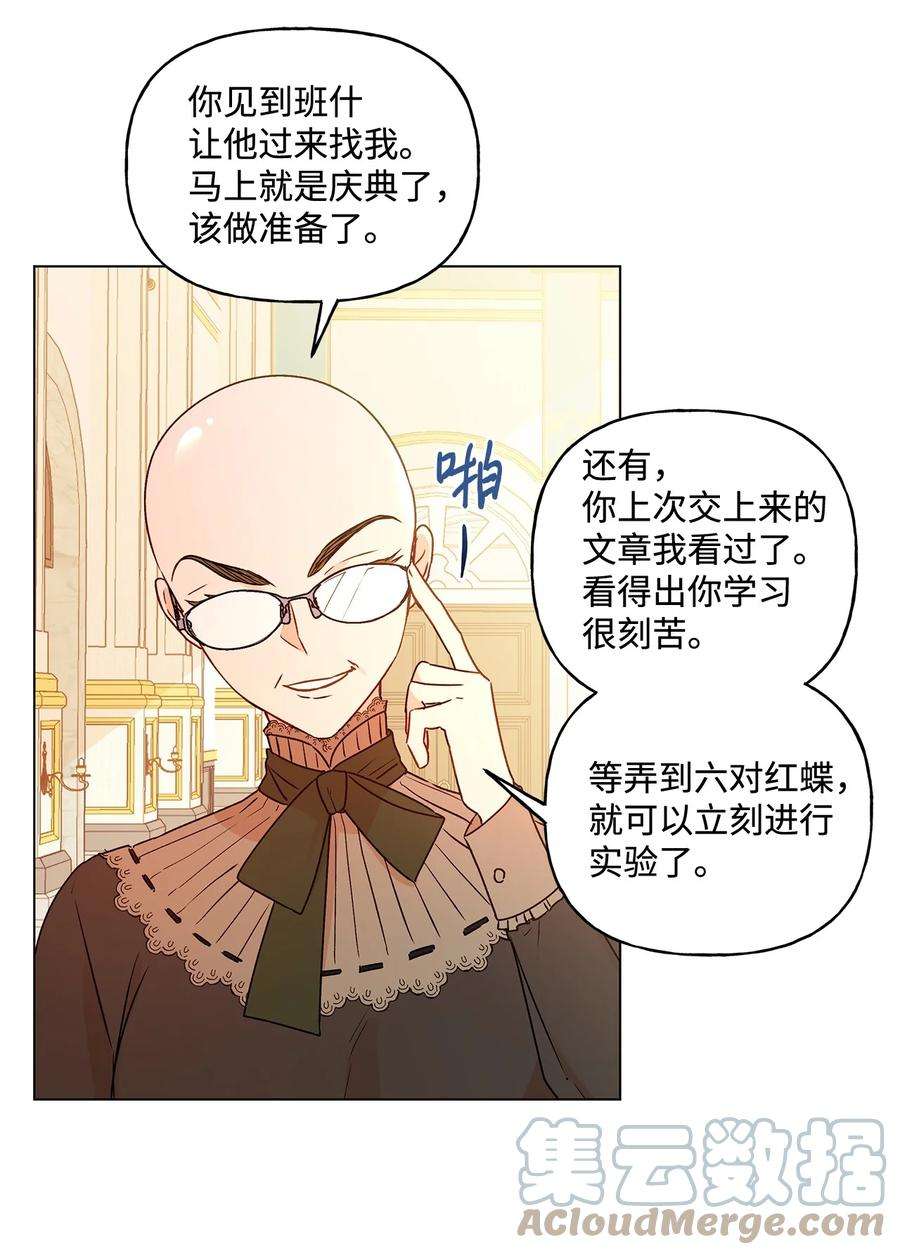 伊莲娜·埃沃的观察日志24 眼镜布的威胁
